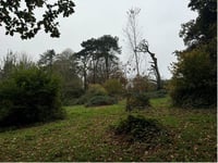 Planning: NHS Trust proposes a community nature hub among plans