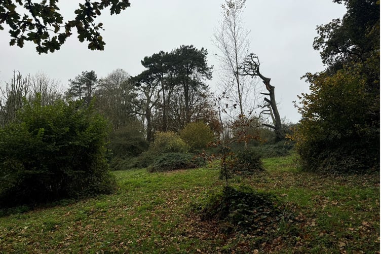 The proposed site for the Nature Hub in Liskeard. (Picture: Cornwall Council)