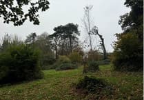 Planning: NHS Trust proposes a community nature hub among plans