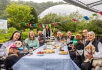 Dogs enjoy a special Big Lunch at the Eden Project in Cornwall