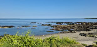 Coastguard called out following concerns for a dog and its owner