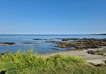 Coastguard called into action following concerns for a dog and its owner