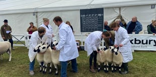 Royal Cornwall Show attendance drops