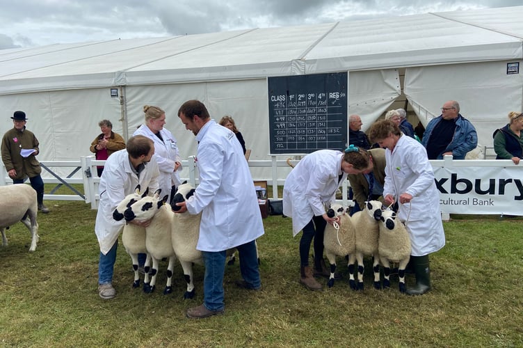 Royal Cornwall Show 2025