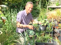 Gardening columnist will give face-to-face advice at plant sale