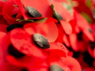 A complete guide to Remembrance events across Cornwall