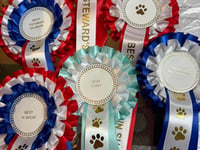 Fun dog show in Pensilva to support Liskeard food hub