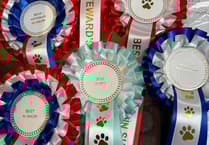 Paws for a Cause: Fun dog show in Pensilva to support Liskeard food hub