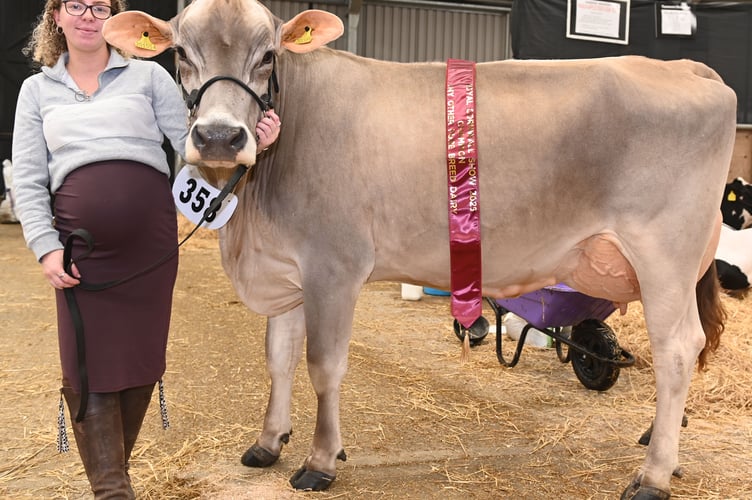The Ley family are no strangers to the show and were keeping up their winning streak this year. Shannon Ley is pictured here with her champion Brown Swiss 'Liquorice'. She also received reserve for her Brown Swiss 'Tiramisu'. A pregnant Shannon added: "As you can see I am getting ready to add another to the herd!"