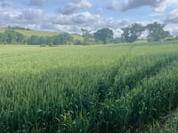 Slurry pit approved despite locals’ ‘stench’ concerns