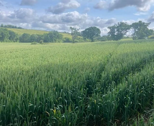 Slurry pit approved despite locals’ ‘stench’ concerns
