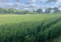 Slurry pit approved despite locals’ ‘stench’ concerns
