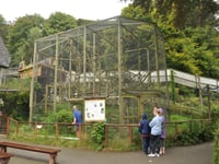 Monkey sanctuary forced to sell long term home amid financial crisis