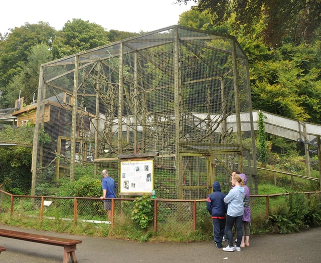 Monkey sanctuary forced to sell long term home amid financial crisis