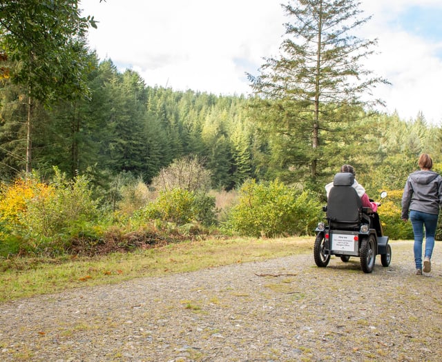 Chaotic comedy arrives at Cardinham Woods next month