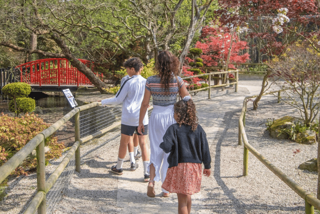 Zoo launches reduced rate weekend for Cornish residents