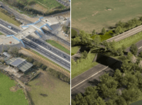 Cornwall's green bridge boosts wildlife