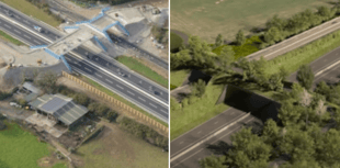 Cornwall's green bridge boosts wildlife