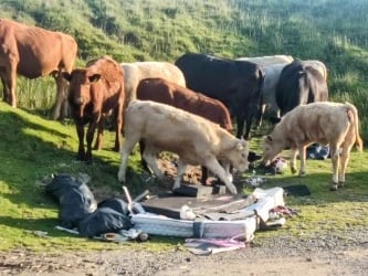 Farmer calls for stricter fines amid increased fly-tipping incidents