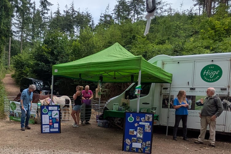 Hugs Foundation Horse Rescue were among the groups on show at the Protect Earth Summer Fair