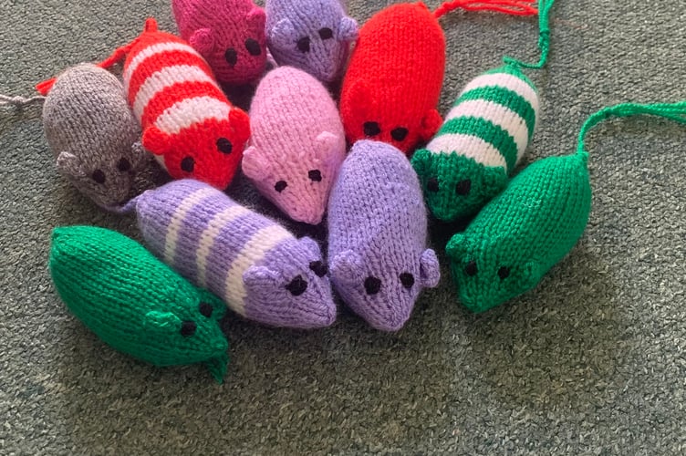 A selection of Mice (above) made by Marcia Alexander were shown to the members of Trematon Women's Institute during their recent meeting