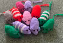 Your community news from across South East Cornwall and beyond