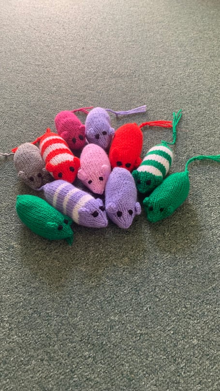 A selection of Mice (above) made by Marcia Alexander were shown to the members of Trematon Women's Institute during their recent meeting