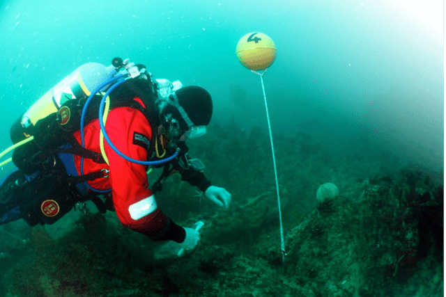 Police investigate illegal fishing activity on HMS Coronation wreck 
