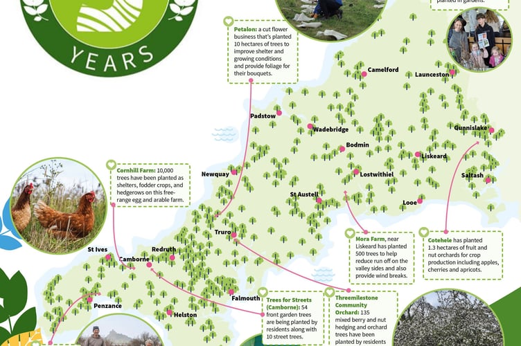 Forest For Cornwall map