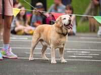 Festive fun for furry friends at Pensilva dog show