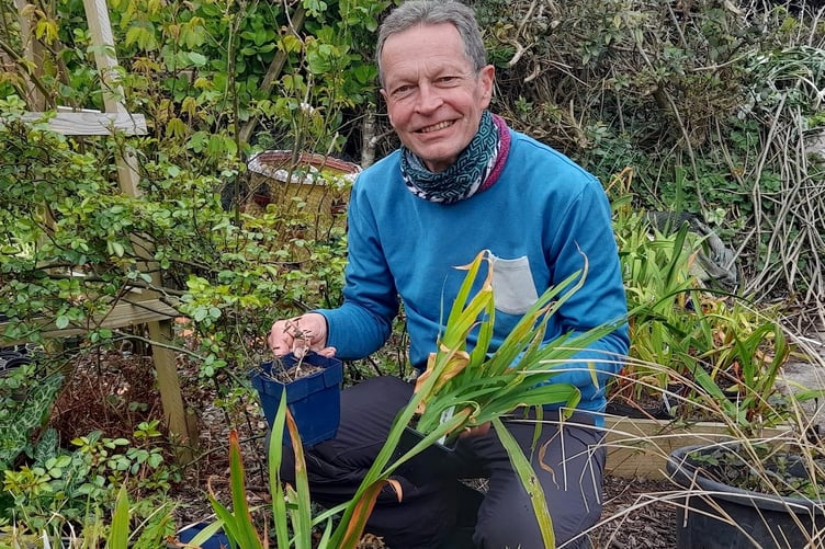 Gardening columnist Martin Pallett is holding a plant sale.