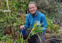 Gardening columnist Martin Pallett to focus on colourful plant at sale