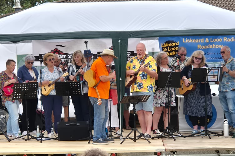 Performances at the Trelawney Fair (Picture: Liskeard and Looe Radio)