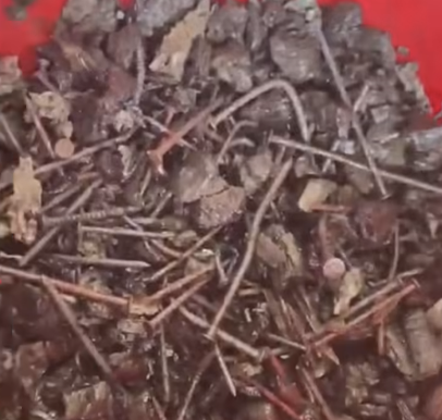 Some of he nails found by the East Looe Town Trust team when clearing up after fires on the beach involving shipping pallets