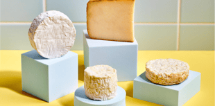 Cornish cheese among finalists for national title 