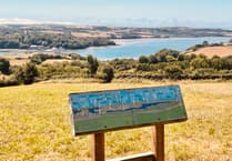 Lifeline for Churchtown Farm as council backs rescue plan