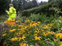 Volunteers wanted to help transform green spaces