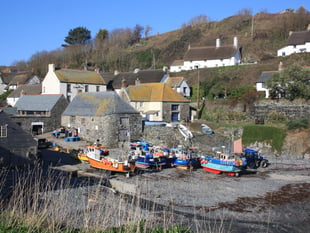 Henwyn tyller/Place names - Cadgwith 