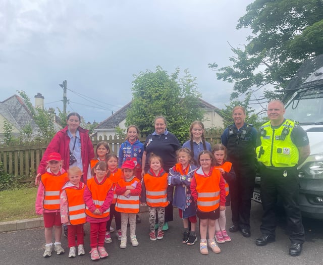 Liskeard Rainbows earn safety badges with help from local heroes
