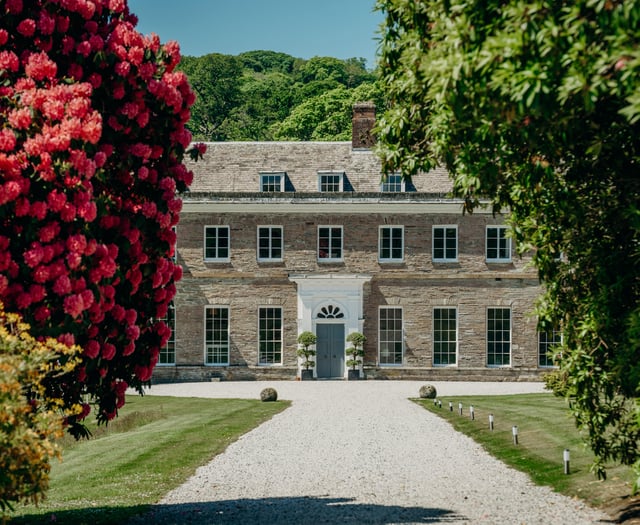 An autumn walk of discovery at Boconnoc