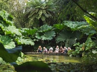Become a plant hunter at tourist attraction