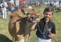 Organisers hail 120th Liskeard Show a 'resounding success'