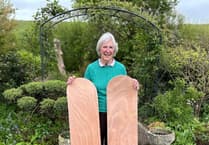 Inspiring project launched to transform bellyboards into artworks for charity