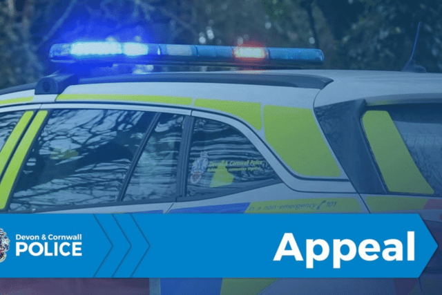 Police appeal after dog attacks swans at marina