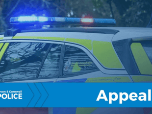 Police appeal after dog attacks swans at marina