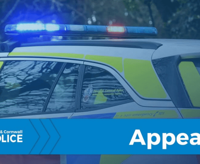 Police appeal for witnesses after serious assault in Looe