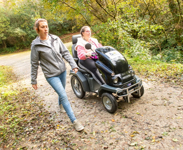 Cardinham Woods summer adventures