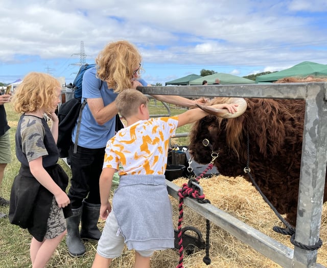 Show promises to be a hub of activity