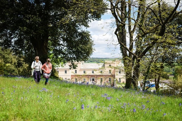 Garden open day at Pentillie to raise funds for Alzheimer’s Society