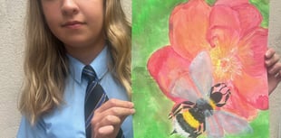 Academy's 'well-bee-ing' art project gets students buzzing